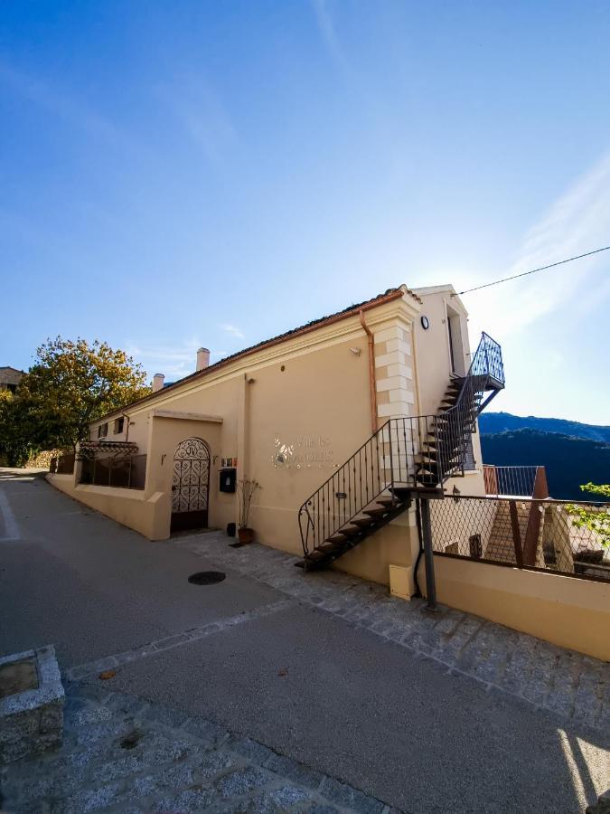 Les Orangers Olmeto (Corsica)